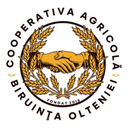 Biruinta Olteniei