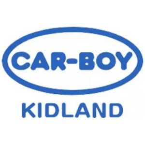 Car Boy Safety