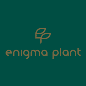 Enigma Plant